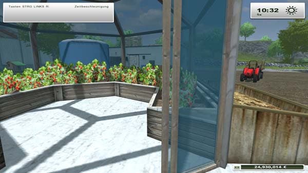 Strawberries greenhouse [MP]