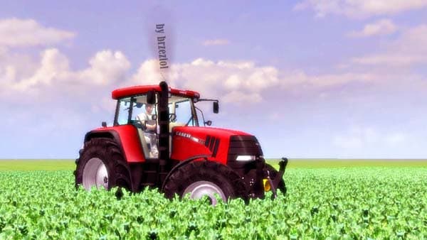 Sugarbeet texture HD [SP]