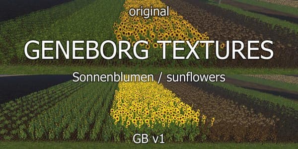 Sunflowers [SP] 3