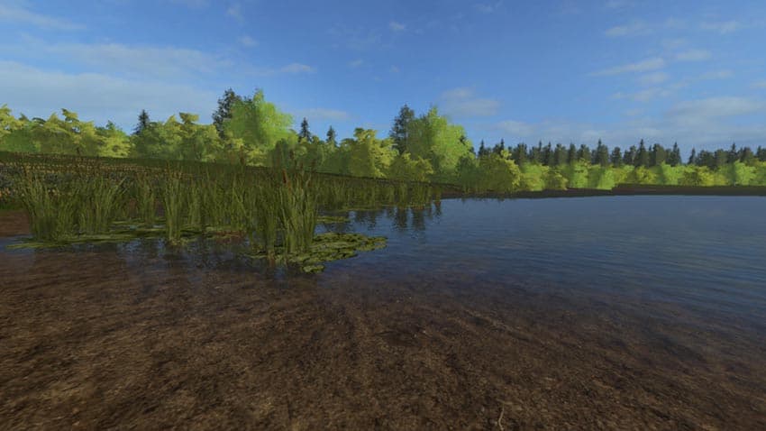 Sunny Farm [MP] 4