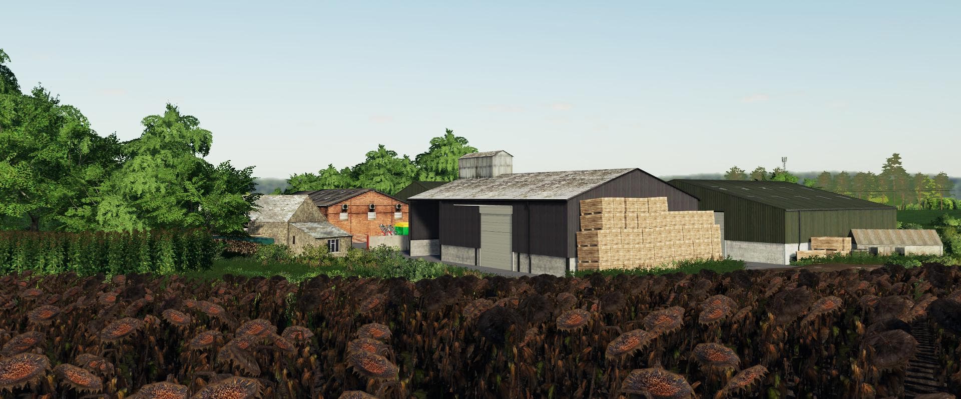 Sutton Farm 4