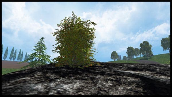 THE END ARE BUSCH [MP] 2