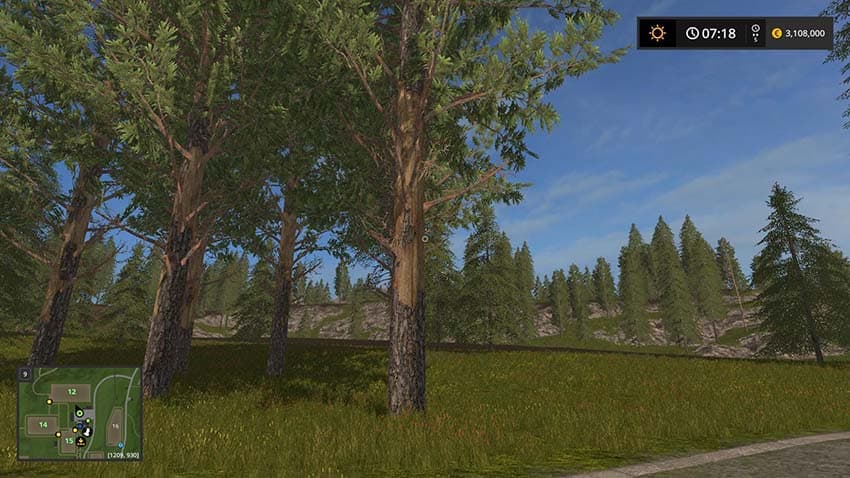 Tall pine trees