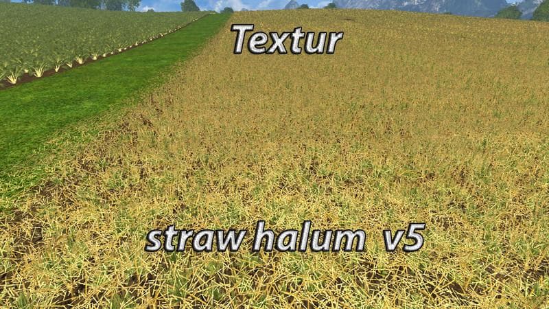 Texture Chopped Straw 3