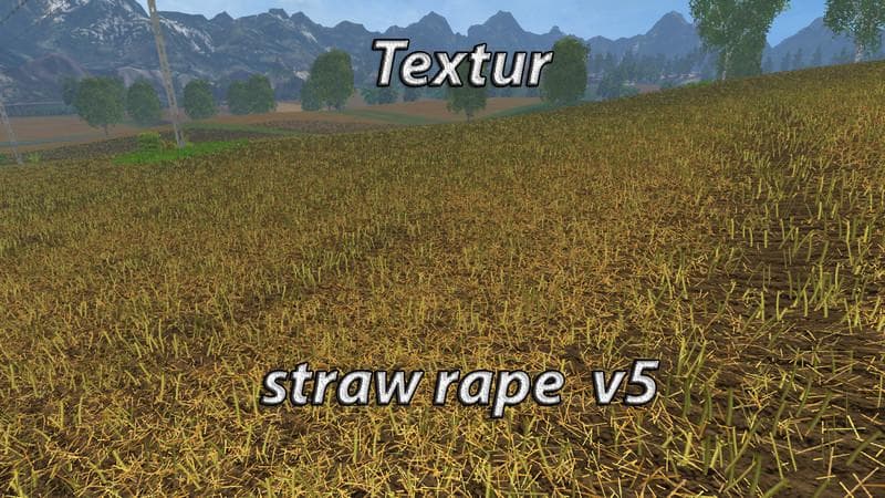 Texture Chopped Straw 2