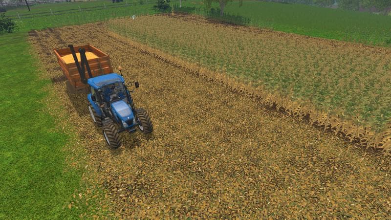 Texture Chopped Straw