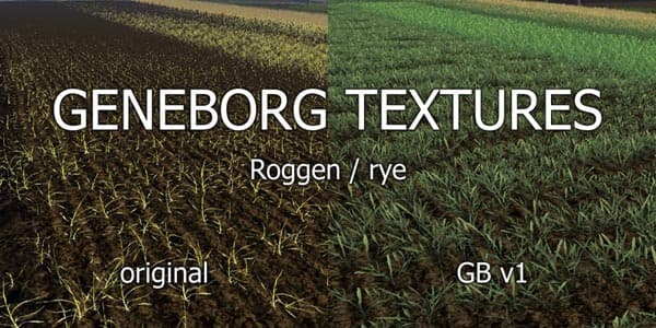 Texture rye [SP] 2