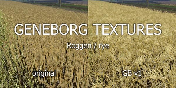 Texture rye [SP]