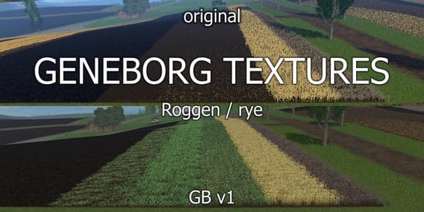Texture rye [SP] 3