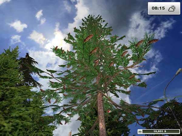Textures Forest [SP] 2