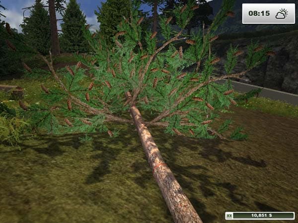 Textures Forest [SP]