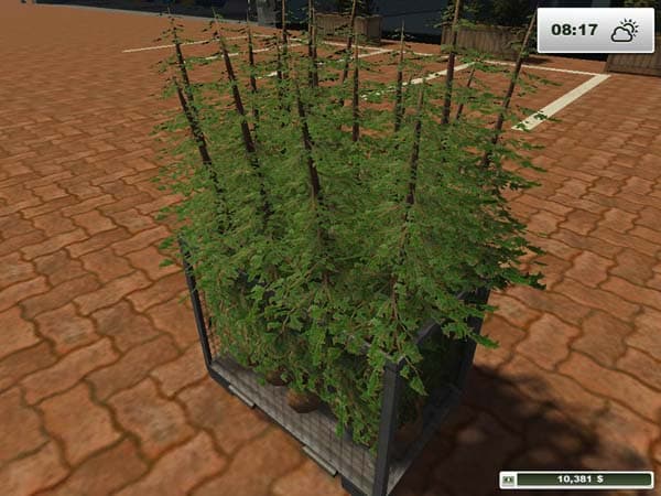 Textures Forest [SP] 3