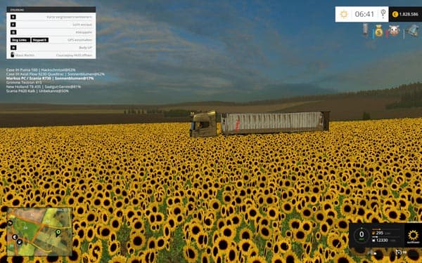 Textures sunflower [SP]