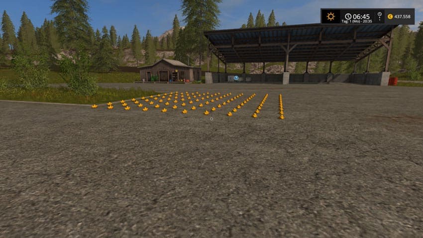 The gold pieces [SP]