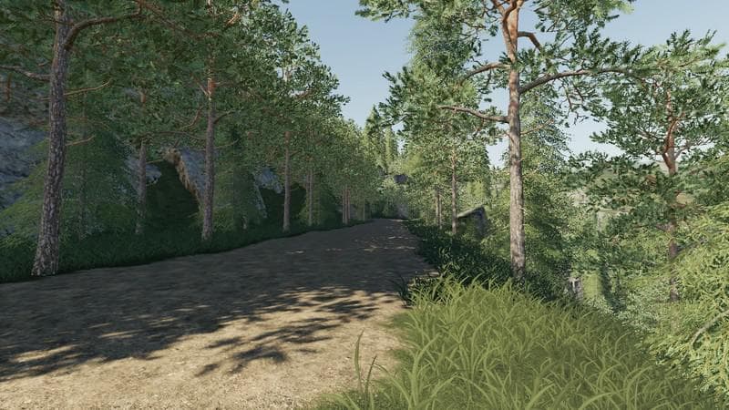 THURINGIA FOREST 5