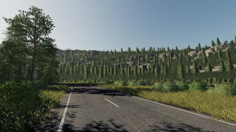 THURINGIA FOREST 4