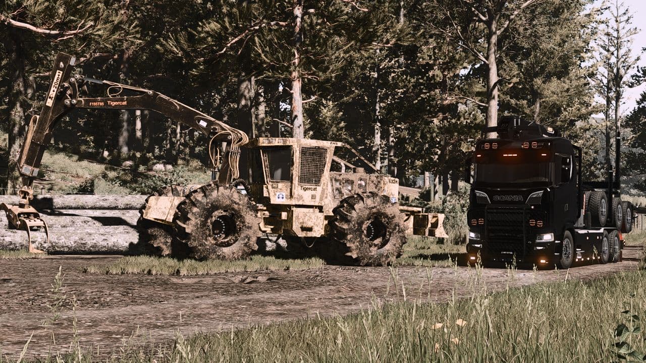 Tigercat Crane Skidder 3