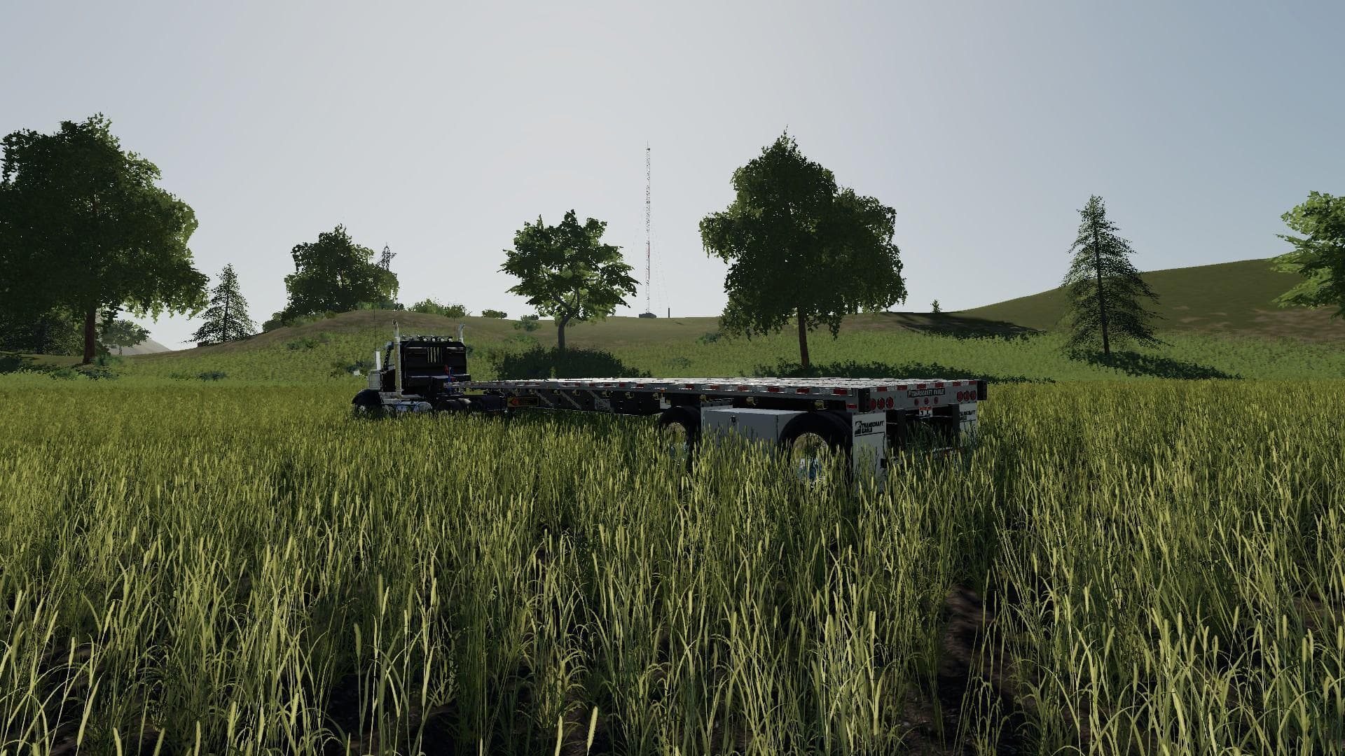 Transcraft Eagle Flatbed 2