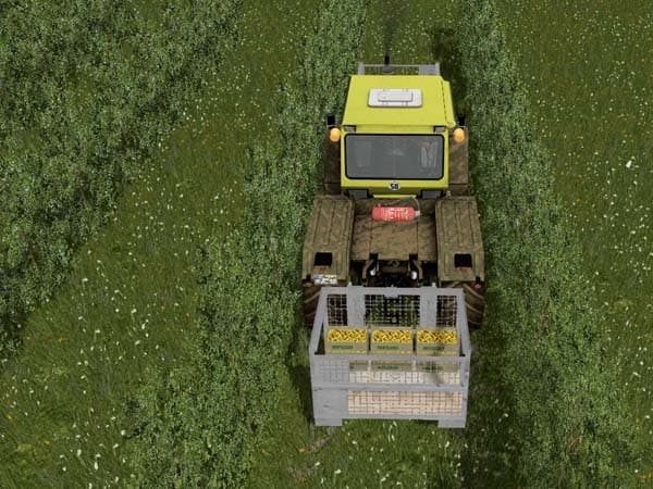 Transport and storage box [MP] 2
