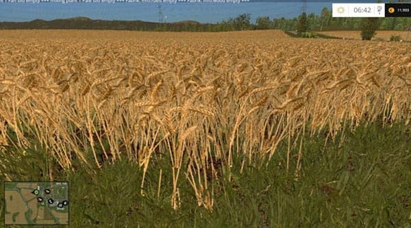 Wheat and barley texture [SP]