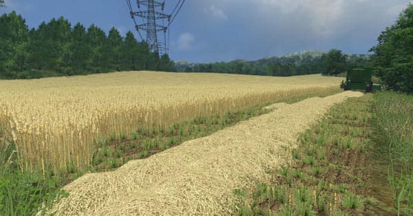 Wheat barley and rape textures [SP]