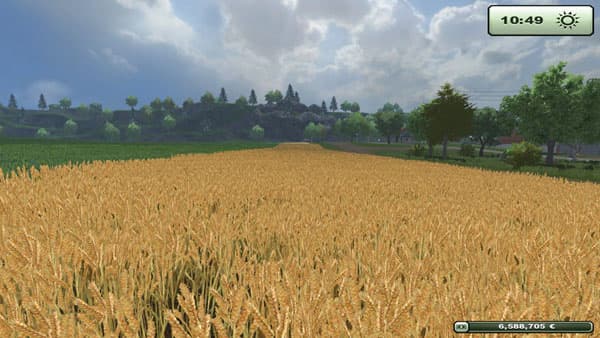 Wheat barley texture [SP] 2
