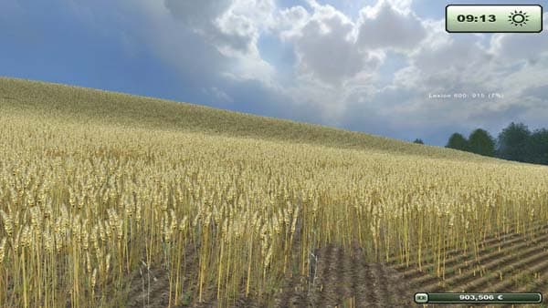 Wheat texture [SP]