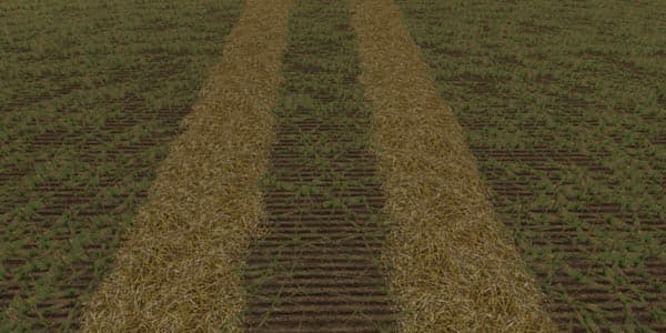 Wheat texture [SP]