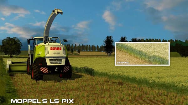 Whole plant silage Texture [SP]