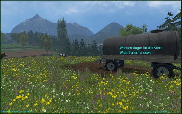 Wildcreek Valley [MP] 3