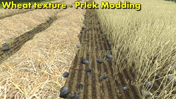 Windrow texture Wheat &amp; Barley 2