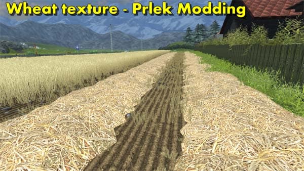 Windrow texture Wheat &amp; Barley 3