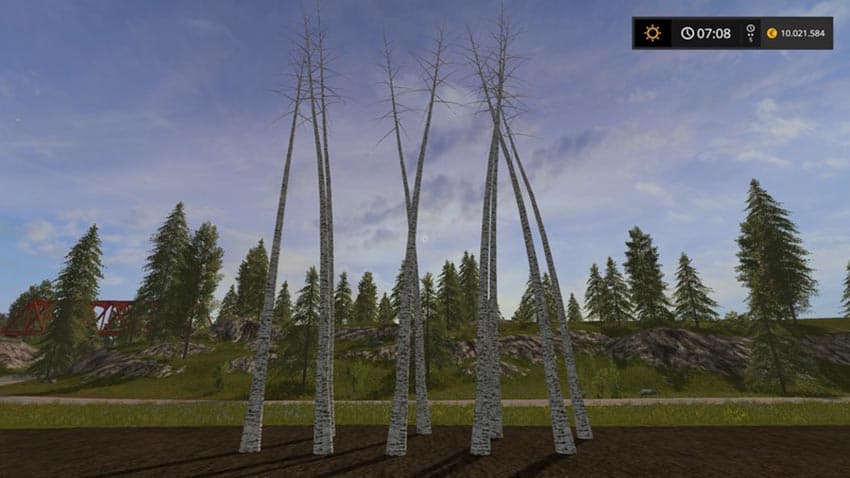 Winter Birch without leaves [MP]