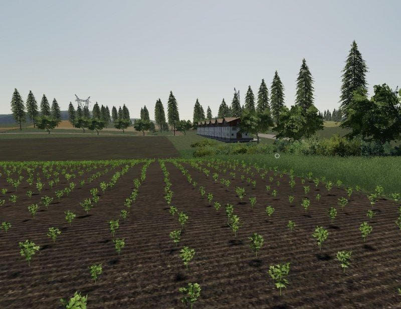 Wisniowo Map 2019 4