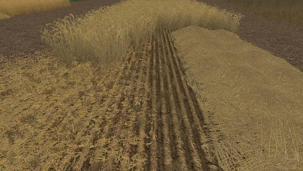 Additional Texture Package [SP]