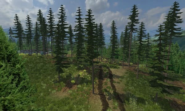 Mountain valley forest Edition 2