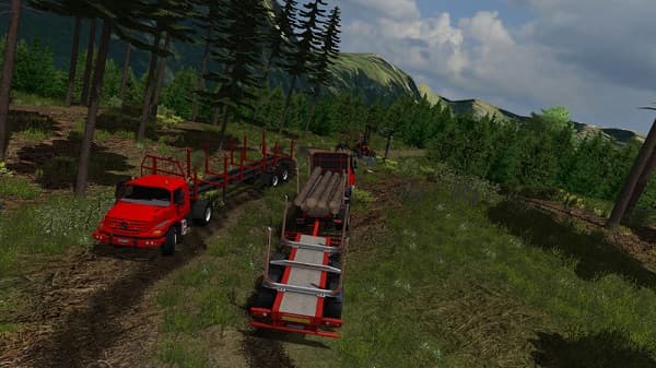Mountain valley forest Edition 3