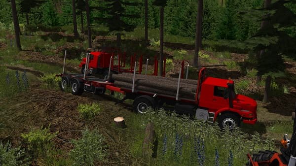 Mountain valley forest Edition 4