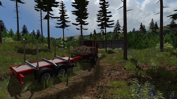 Mountain valley forest Edition 6