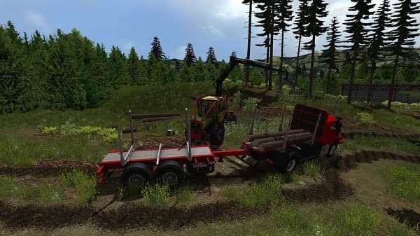 Mountain valley forest Edition