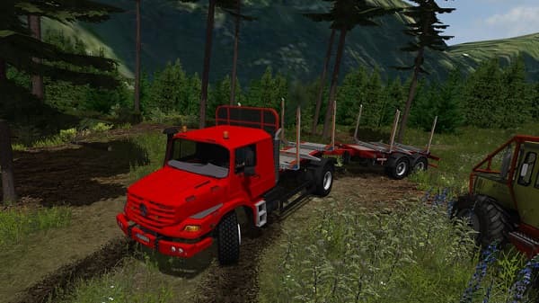 Mountain valley forest Edition 5