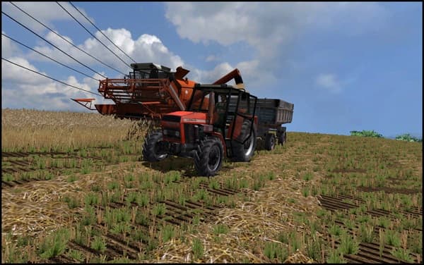 Big Polish Farm 5