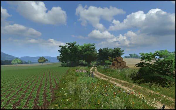 Big Polish Farm 4