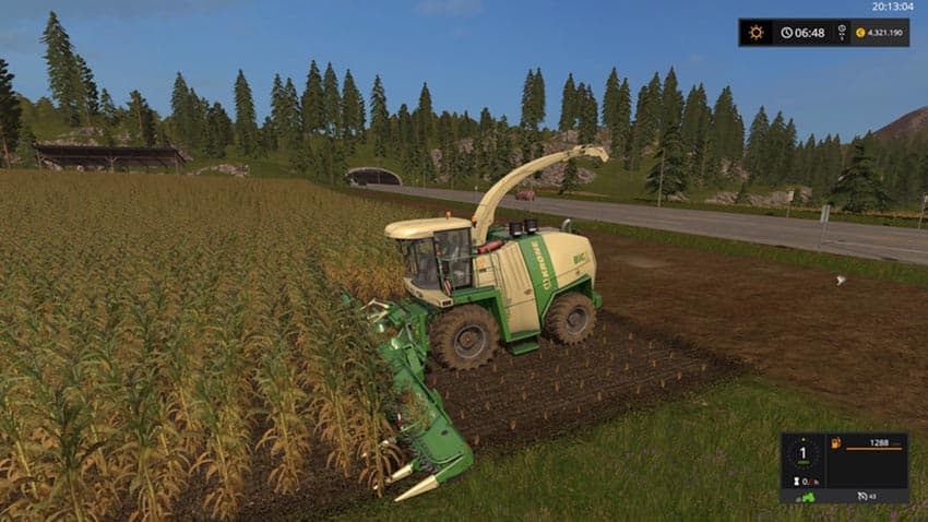 Corn texture [SP] 2