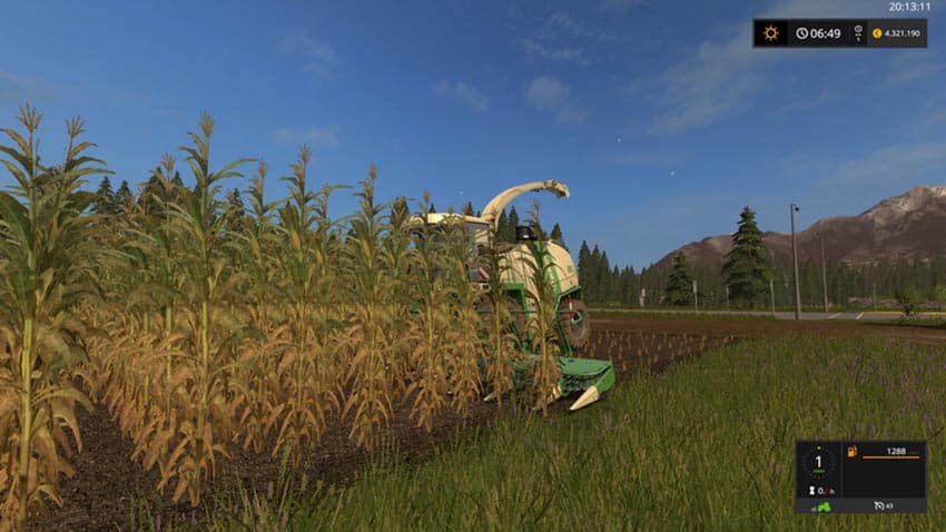 Corn texture [SP]
