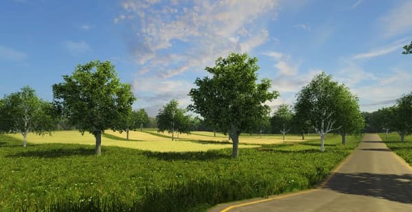 Dream Map 4