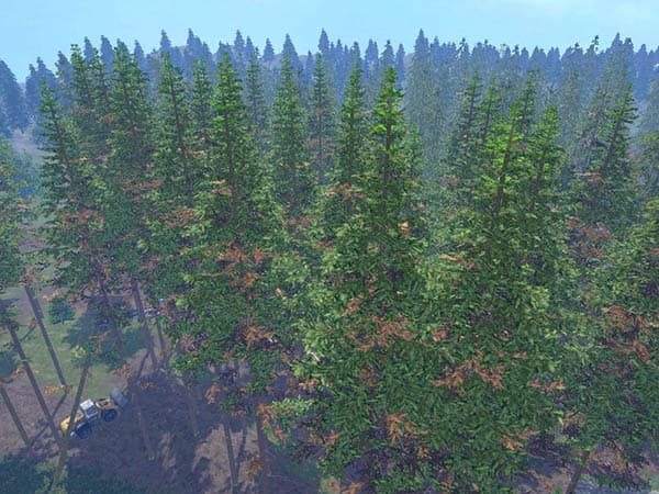 Fir placeable [MP] 3