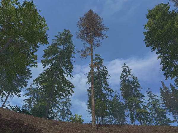 Fir placable [MP] 2