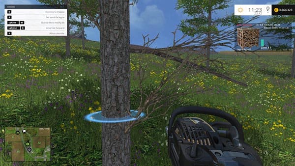 Firewood [MP] 2
