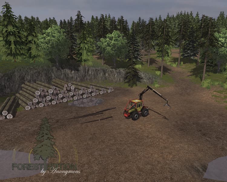 Forest Edition [MP] 4